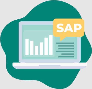 SAP Auditor