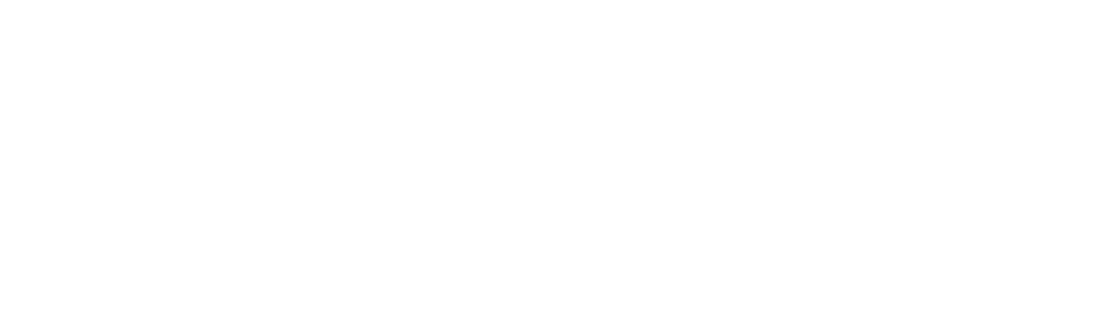 BWT_logo_weiss
