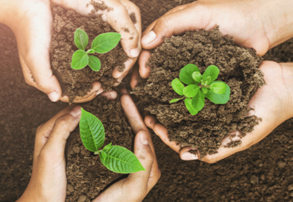 Banner-Spendenaktion-klein